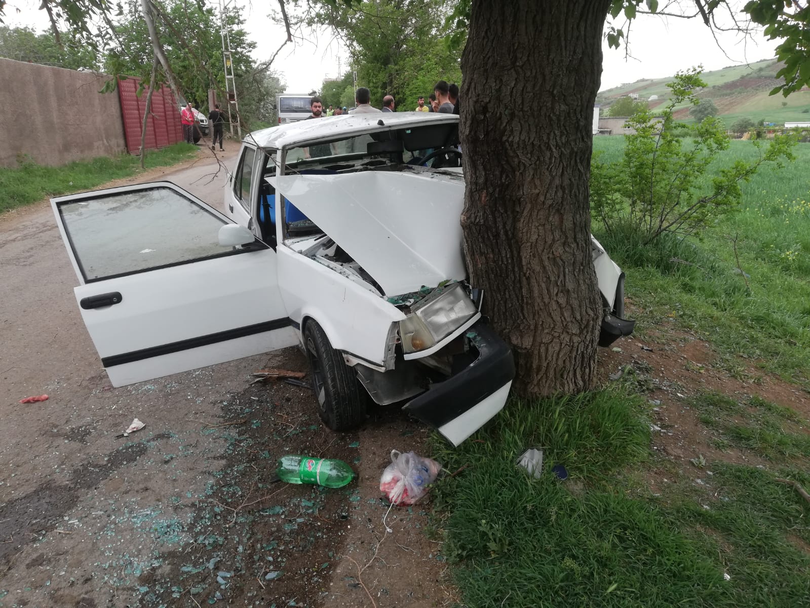 Otomobil ağaca ok gibi saplandı: 5 yaralı