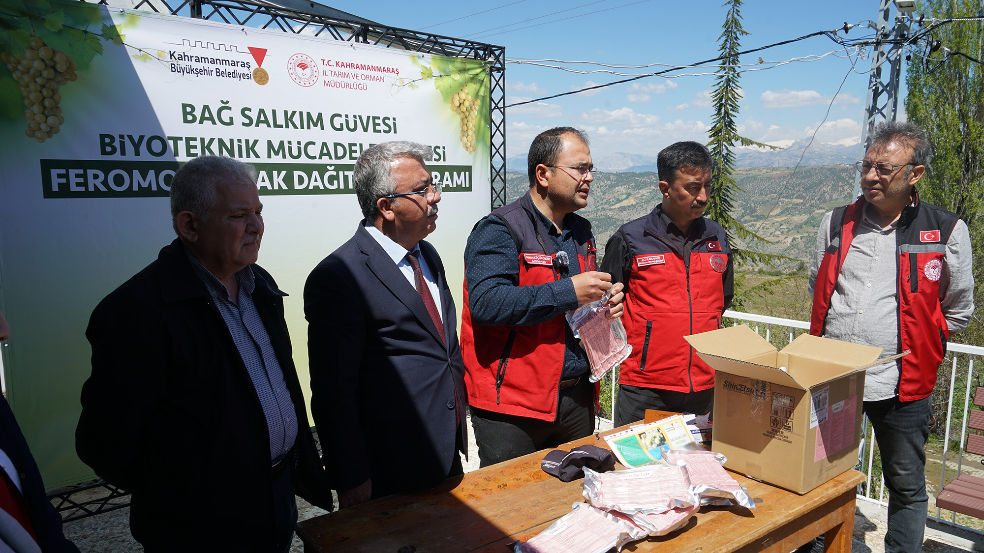 Büyükşehir’den Bertiz’de Kabarcık Üzümüne Doğal Koruma Hamlesi